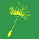 A Semente Distribución